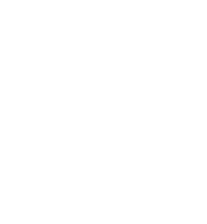 Freese coffee & co